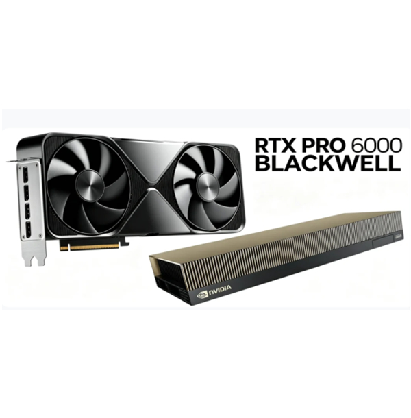 PRO 6000显卡